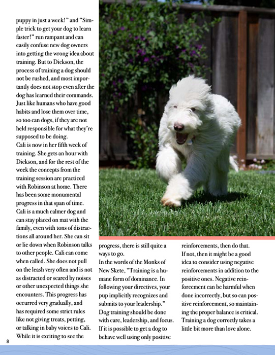 Article by Soren Robinson